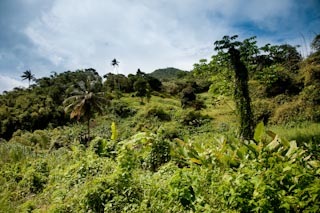 Grenada is called Siceisland