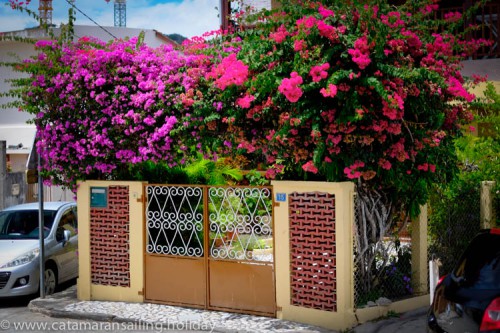 Many flowers on entrance private house Martinique
