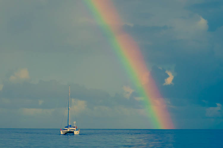 sailing around in paradise