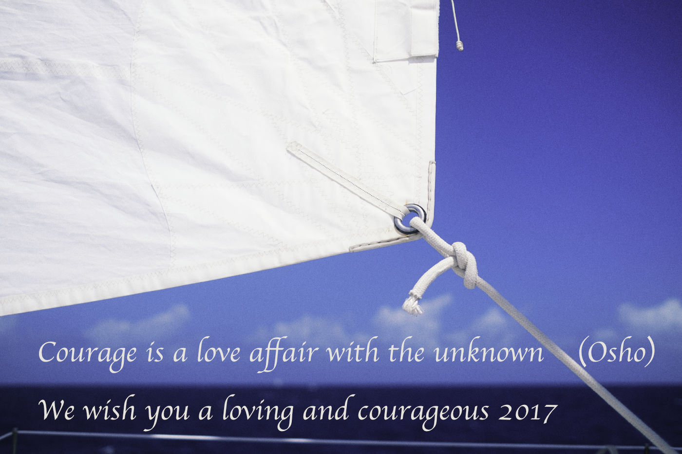 Courage is a love affair with the unknown (Osho) We wish you a loving and courageous 2017