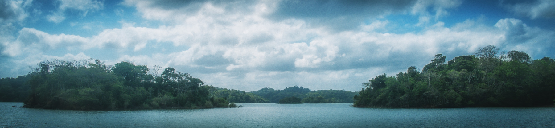 The biggest part of the Panama channel is not a channel but the beautiful Gatun Lake. This is raw jungle. We can not swim here because of the crocodiles.