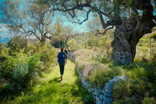 Deze oases van stilte en prachtige natuur zijn ideaal voor mooie wandelingen en meditatie.