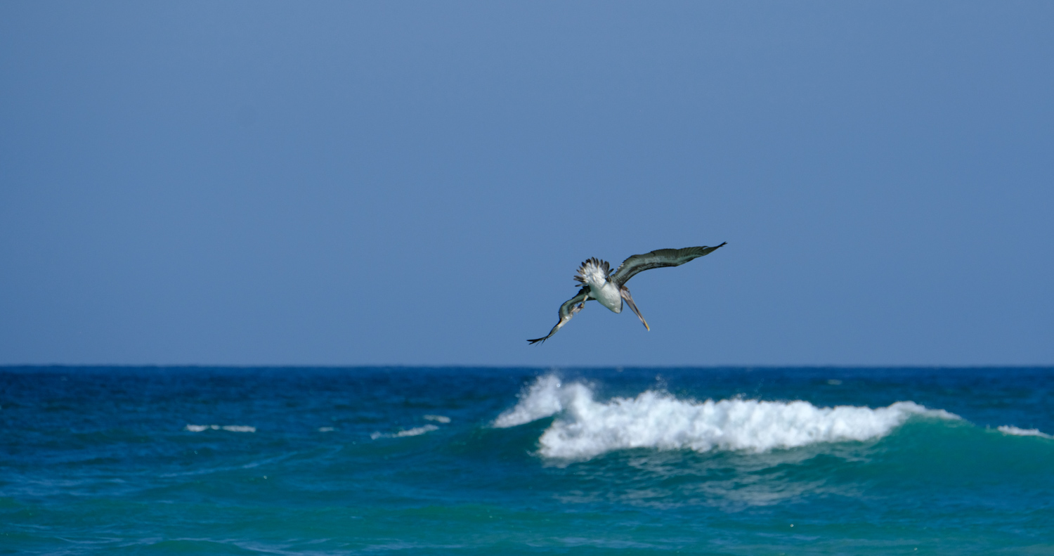 Yemaya is moving severely and we have to hold tight. Behind us the waves are mounting high.